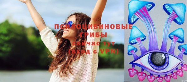 ПСИЛОЦИБИНОВЫЕ ГРИБЫ Алексеевка